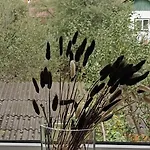 Apartament Lemberg Sławsko