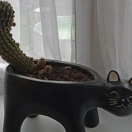 Lemberg * 斯拉夫西克