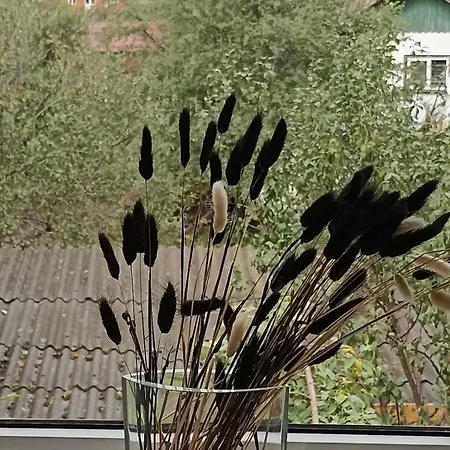 公寓 Lemberg 斯拉夫西克