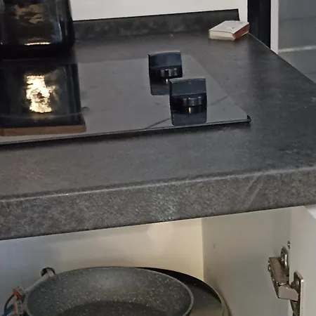Apartment Lemberg з червня басейн з підігрівом 10 на 5 метрів
